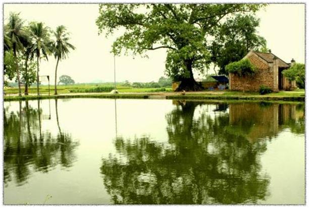 Giật mình thổn thức khi nghe lại một điệu ru con ầu ơ ví dầu... (tran van co)